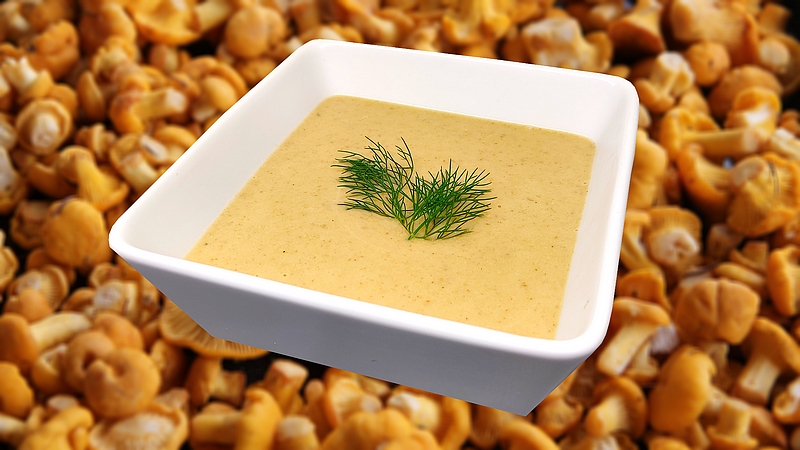 Lišková polévka recept